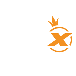 Provider 29